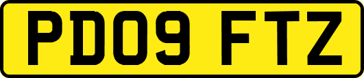 PD09FTZ