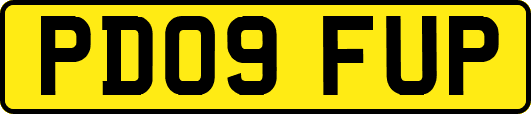 PD09FUP