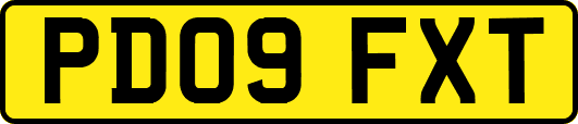 PD09FXT