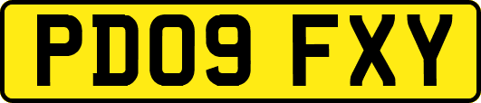 PD09FXY
