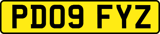 PD09FYZ