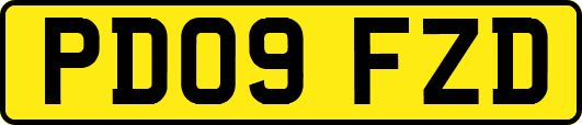 PD09FZD