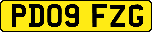 PD09FZG