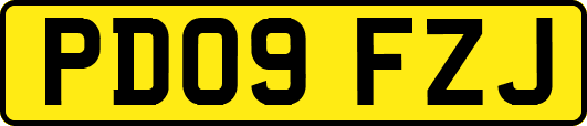 PD09FZJ