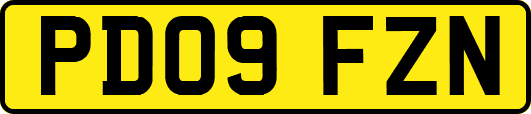 PD09FZN