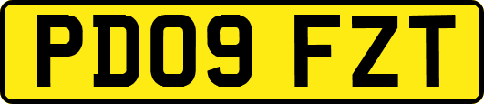 PD09FZT