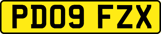 PD09FZX