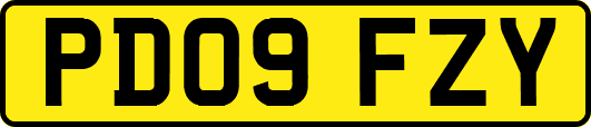 PD09FZY