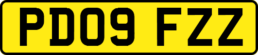 PD09FZZ