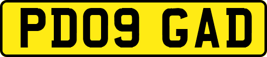 PD09GAD