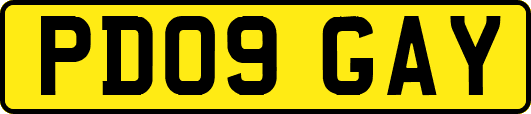 PD09GAY