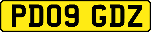 PD09GDZ