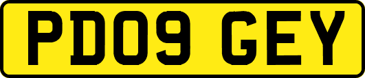 PD09GEY