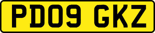 PD09GKZ