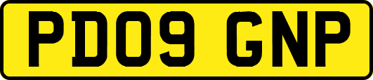 PD09GNP