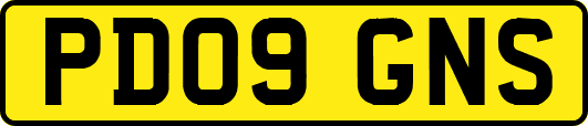 PD09GNS