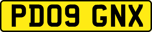 PD09GNX