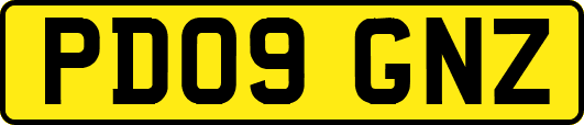 PD09GNZ
