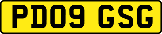 PD09GSG