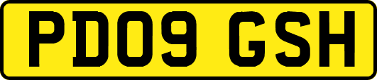 PD09GSH
