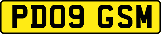PD09GSM