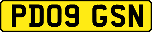 PD09GSN