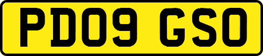 PD09GSO