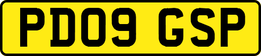 PD09GSP