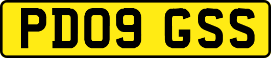 PD09GSS