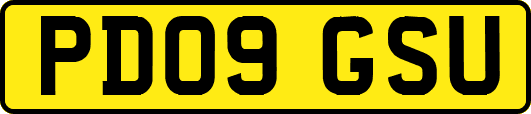 PD09GSU