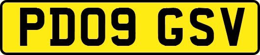 PD09GSV