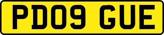 PD09GUE