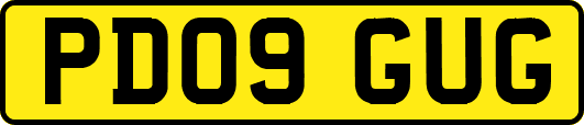 PD09GUG
