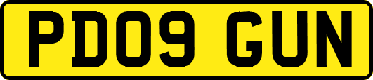 PD09GUN