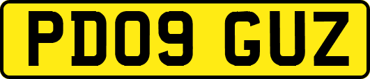 PD09GUZ