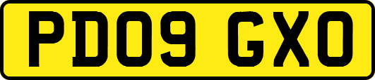 PD09GXO
