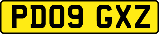 PD09GXZ