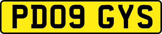 PD09GYS