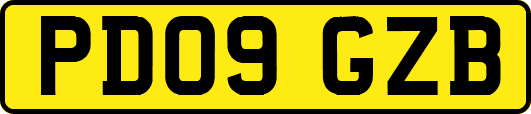 PD09GZB