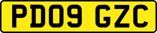 PD09GZC
