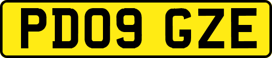 PD09GZE