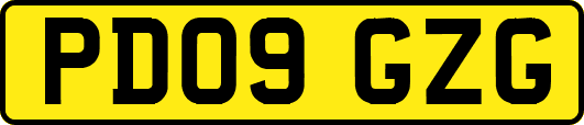 PD09GZG