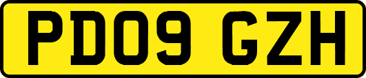PD09GZH