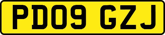 PD09GZJ