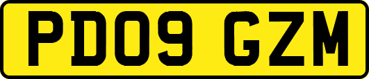 PD09GZM