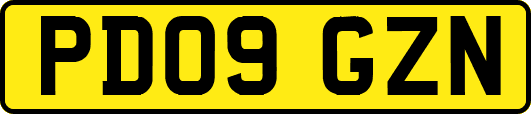 PD09GZN