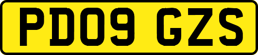 PD09GZS