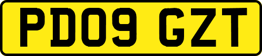PD09GZT