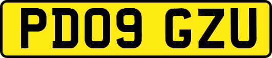 PD09GZU