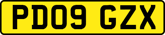 PD09GZX